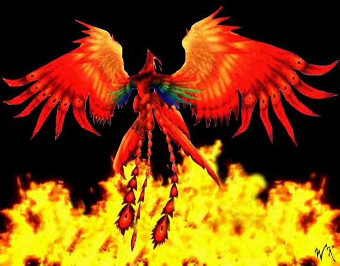 phoenix2.jpg